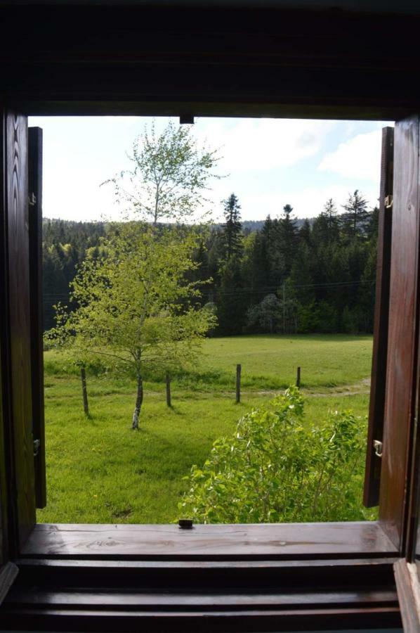 Mystic Forest Hostel Митровац Экстерьер фото